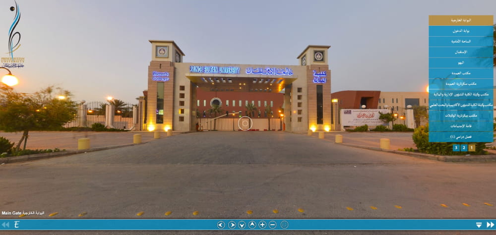 Prince Sultan University